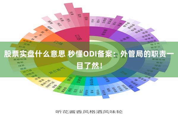 股票实盘什么意思 秒懂ODI备案：外管局的职责一目了然！