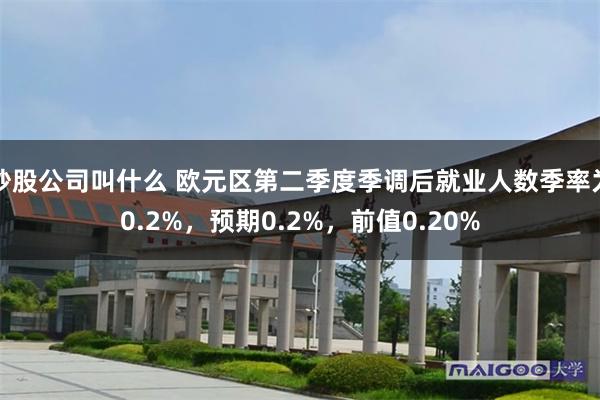 炒股公司叫什么 欧元区第二季度季调后就业人数季率为0.2%，预期0.2%，前值0.20%