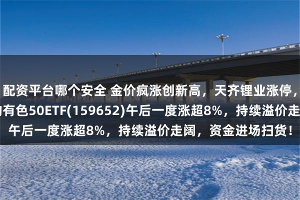 配资平台哪个安全 金价疯涨创新高，天齐锂业涨停，“铜金含量”更高的有色50ETF(159652)午后一度涨超8%，持续溢价走阔，资金进场扫货！