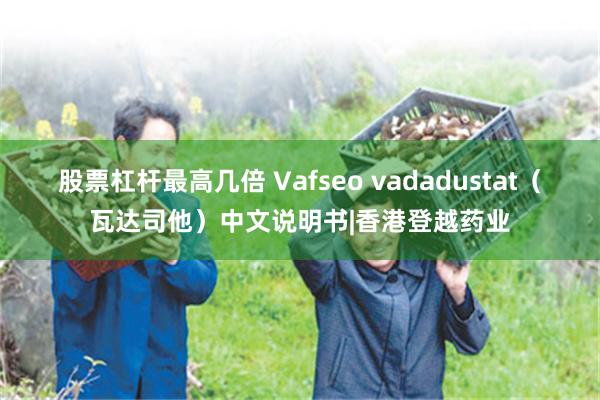 股票杠杆最高几倍 Vafseo vadadustat（瓦达司他）中文说明书|香港登越药业