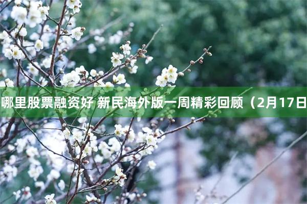 哪里股票融资好 新民海外版一周精彩回顾（2月17日