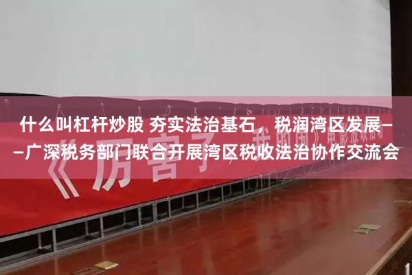 什么叫杠杆炒股 夯实法治基石，税润湾区发展——广深税务部门联合开展湾区税收法治协作交流会